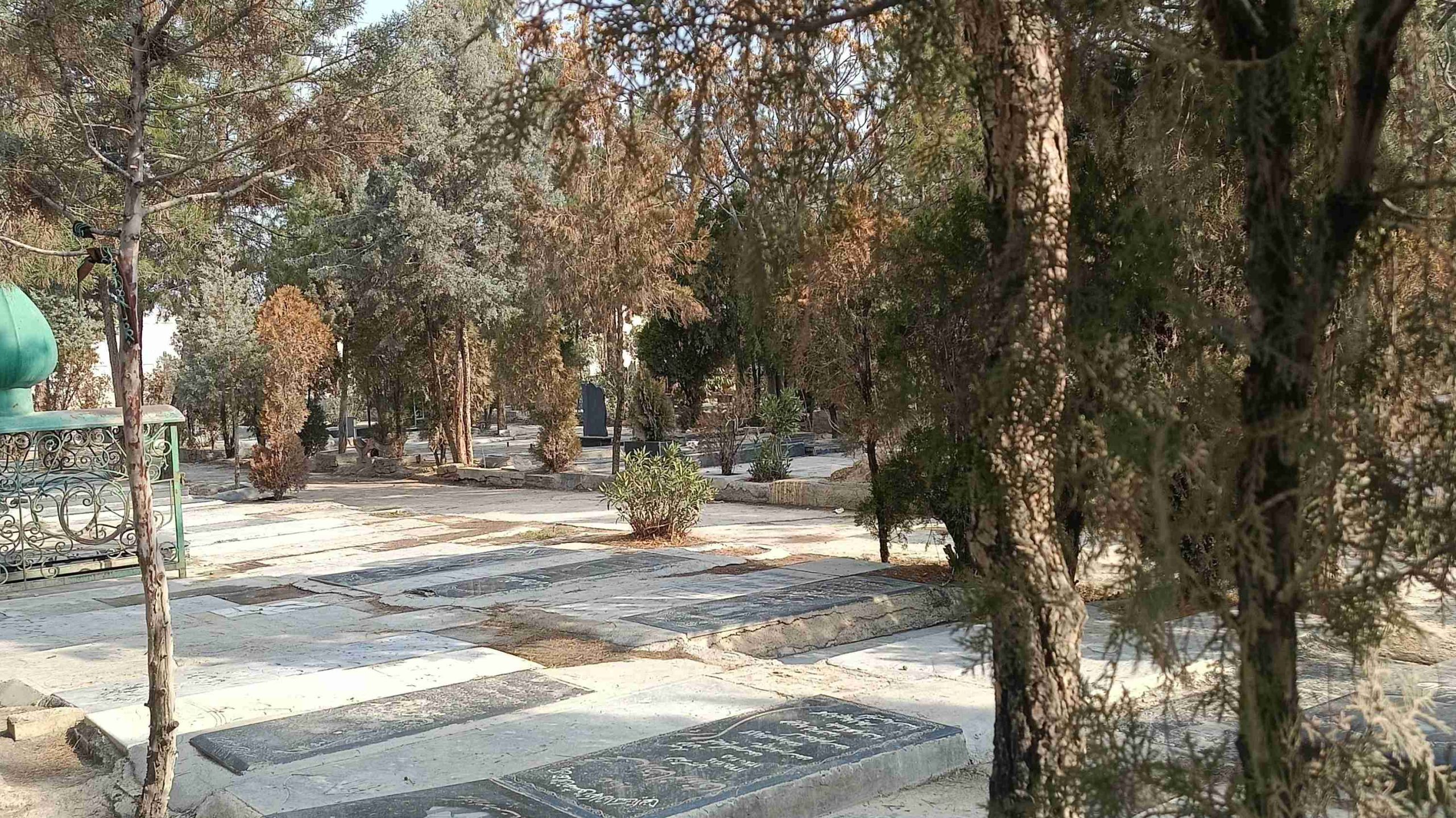 آرامستانی بدون پیوست در دل نسیم شهر